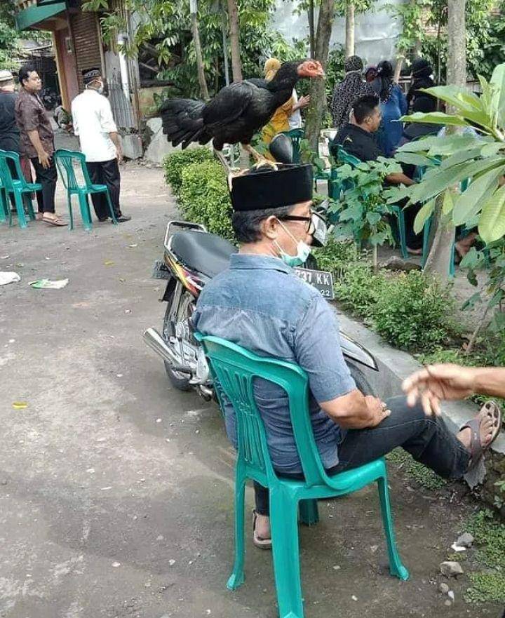 potret lucu dari belakang (instagram.com/wkwkland_real)