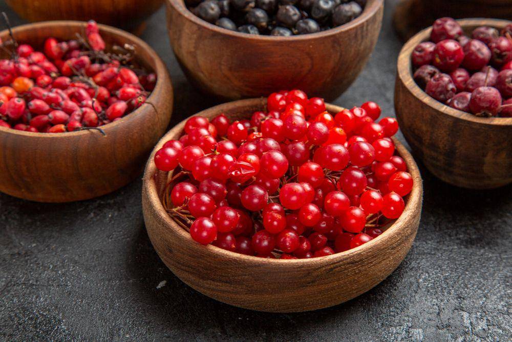 ilustrasi cranberry (freepik.com/KamranAydinov)