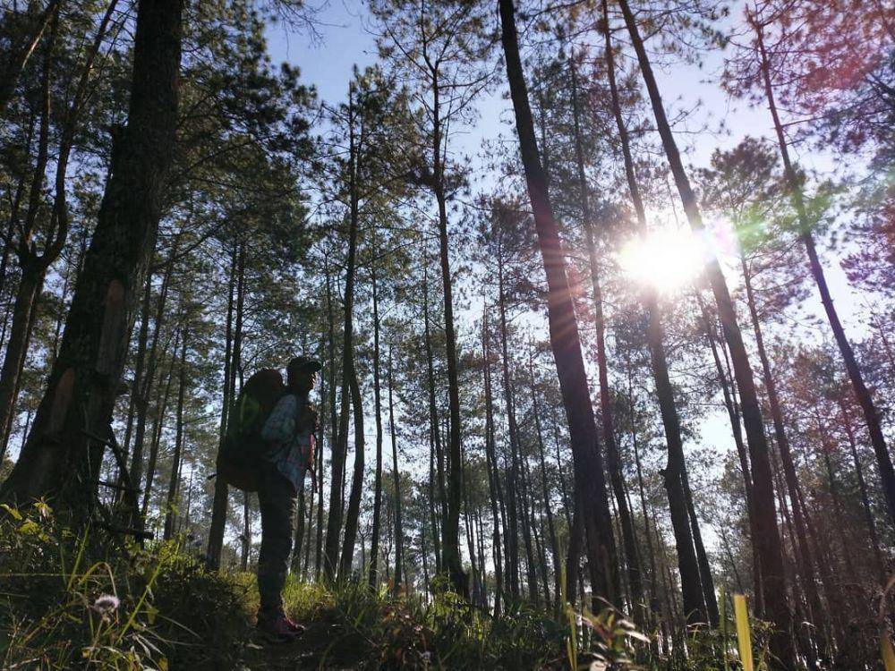 potret pendaki Gunung Lawu via Singolangu (instagram.com/twinarsih20)