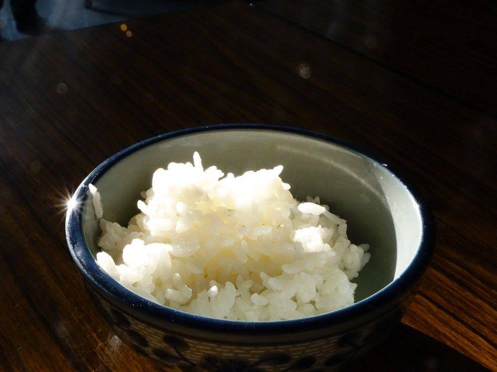 ilustrasi nasi (pixabay.com/juemi)