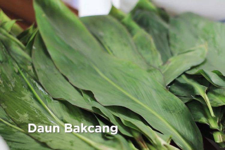 ilustrasi daun bacang (youtube.com/Devina Hermawan)