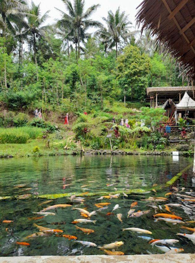 Wisata Umbulan Tanaka, Malang (dok.pribadi/Wahyu Ika Setyaningsih)