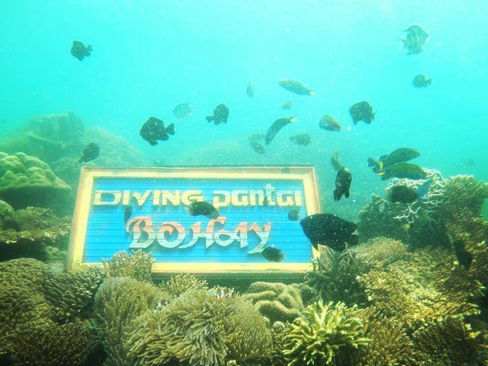Wisata Pantai Bohay (instagram.com/candradani14)