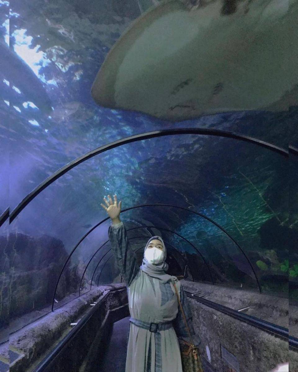 Seaworld Ancol, Jakarta (instagram.com/delvigustia)