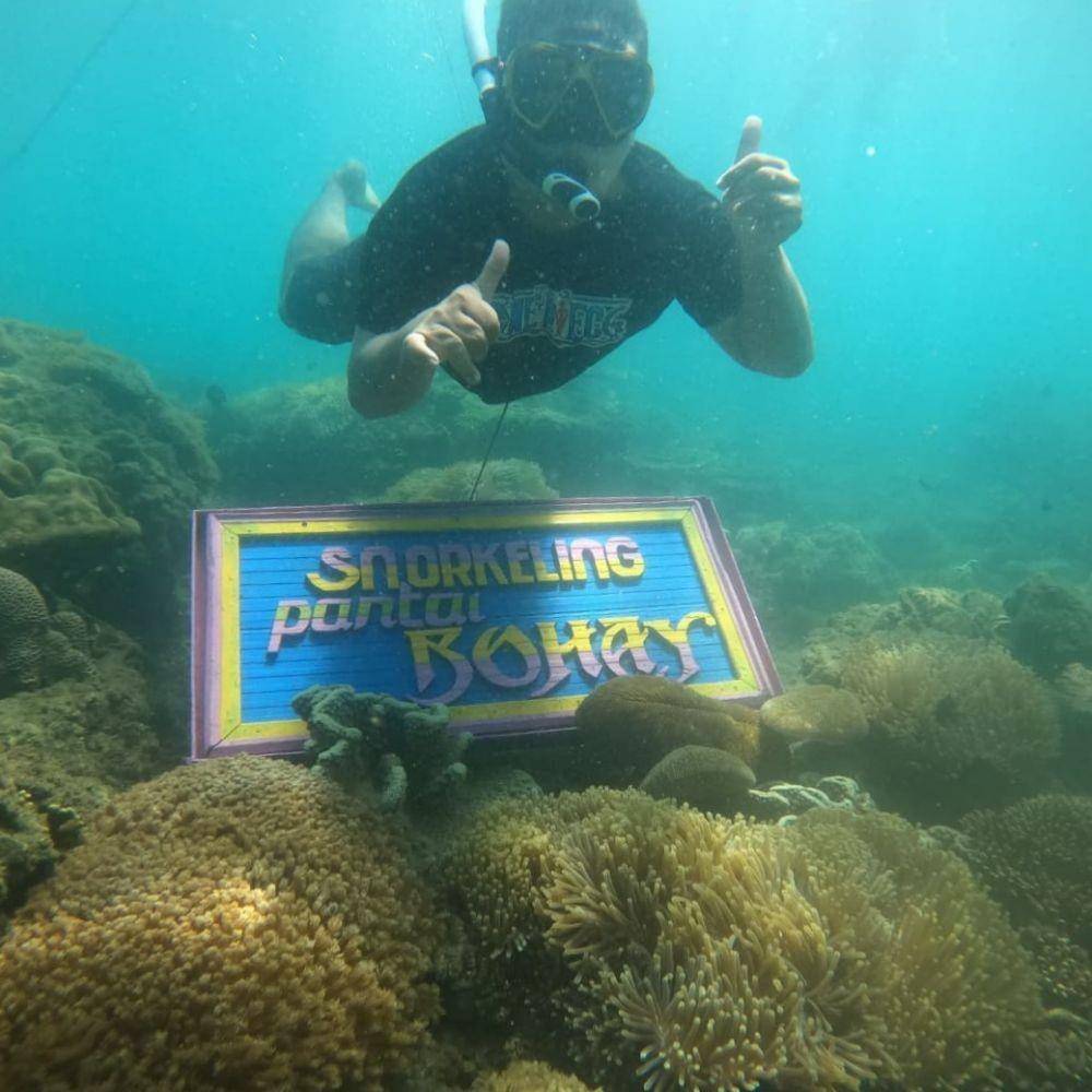Snorkeling di Pantai Bohay (instagram.com/dimasprayoga.dewandaru)