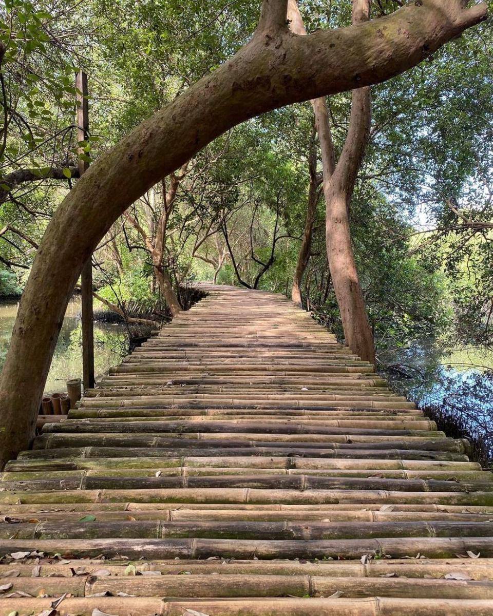 Taman Wisata Alam Mangrove, Jakarta (instagram.com/daniellekoster71)