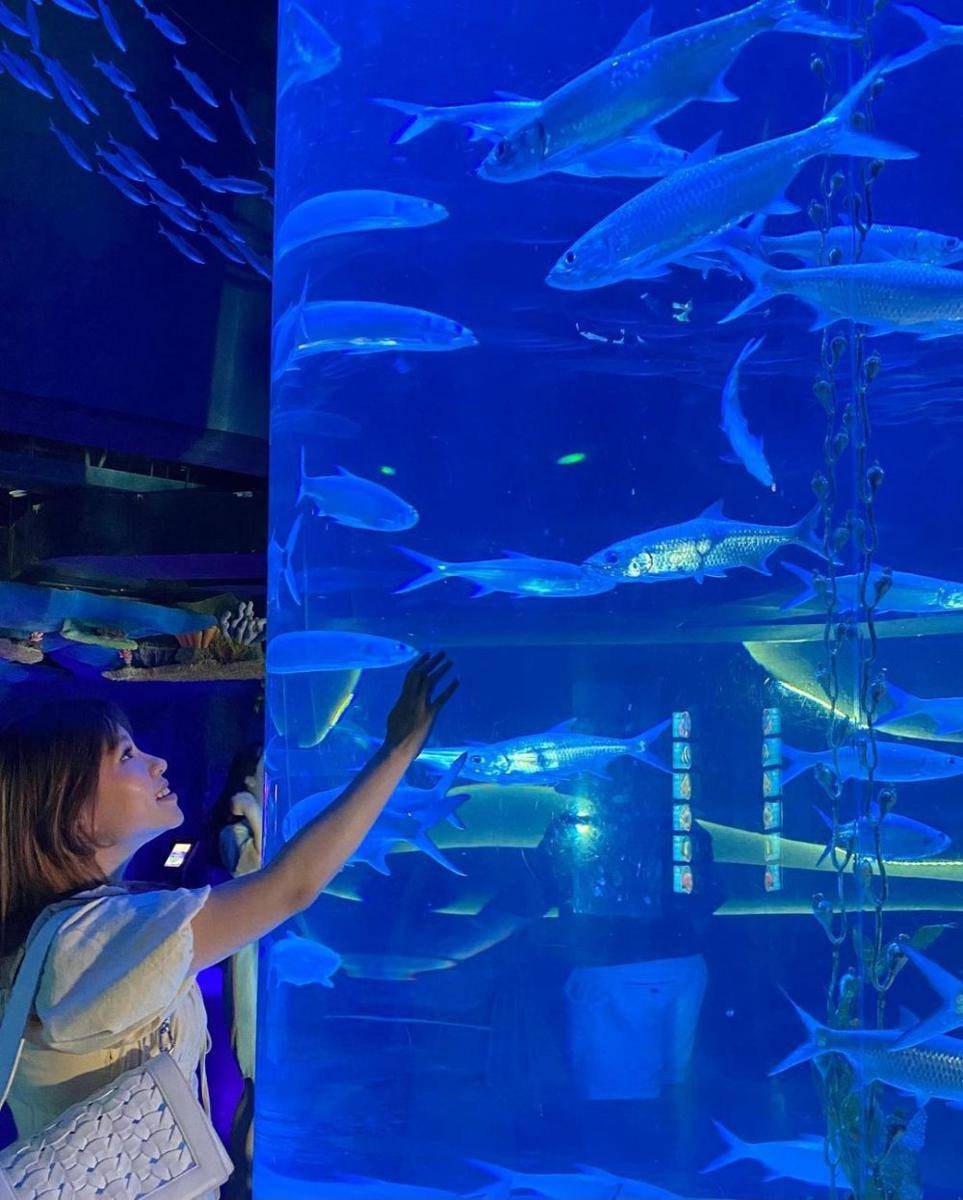 Jakarta Aquarium, Jakarta (instagram.com/fangfangg99)