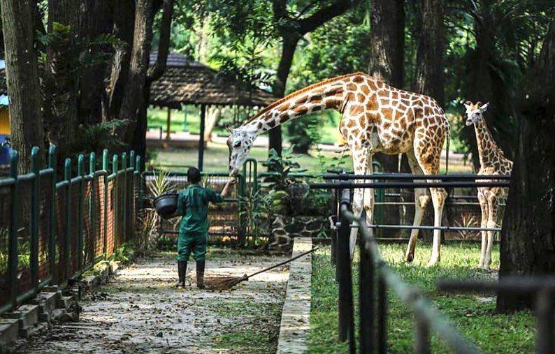 20 Wisata Anak di Jakarta Paling Seru dan Menyenangkan