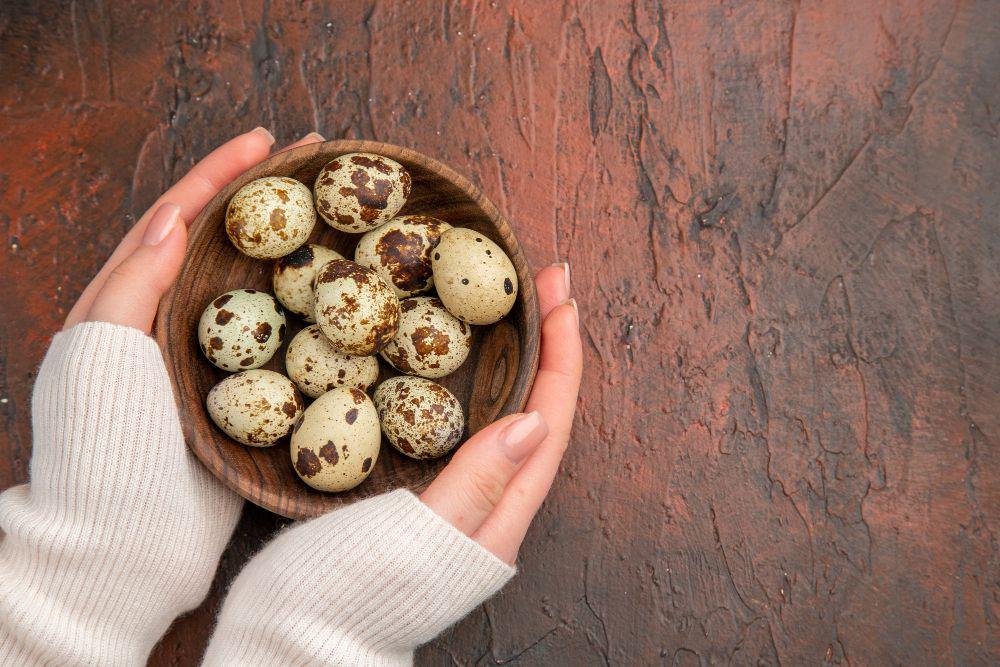 Ini 7 Manfaat Telur Puyuh bagi Kesehatan Tubuh