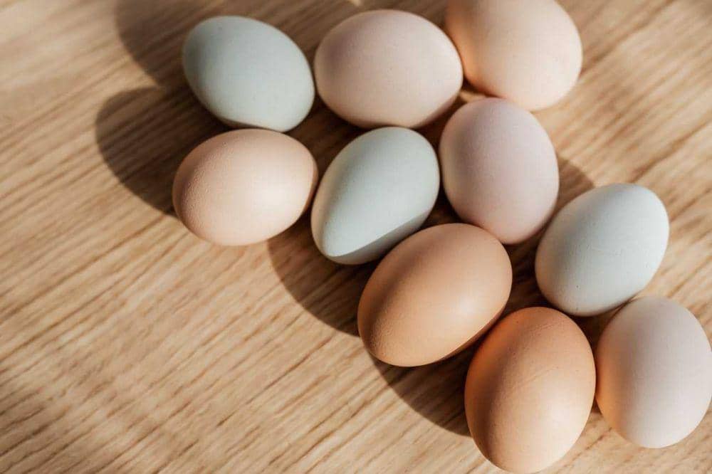 ilustrasi telur (pexels.com/Karolina Grabowska)