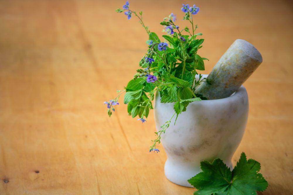 ilustrasi ramuan herbal (pexels.com/PhotoMIX Company)