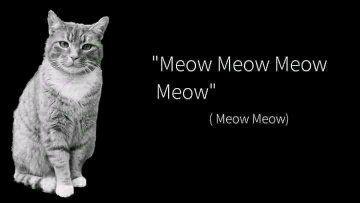 15 Meme Kucing Kocak yang Bikin Ngakak Sekaligus Gemes