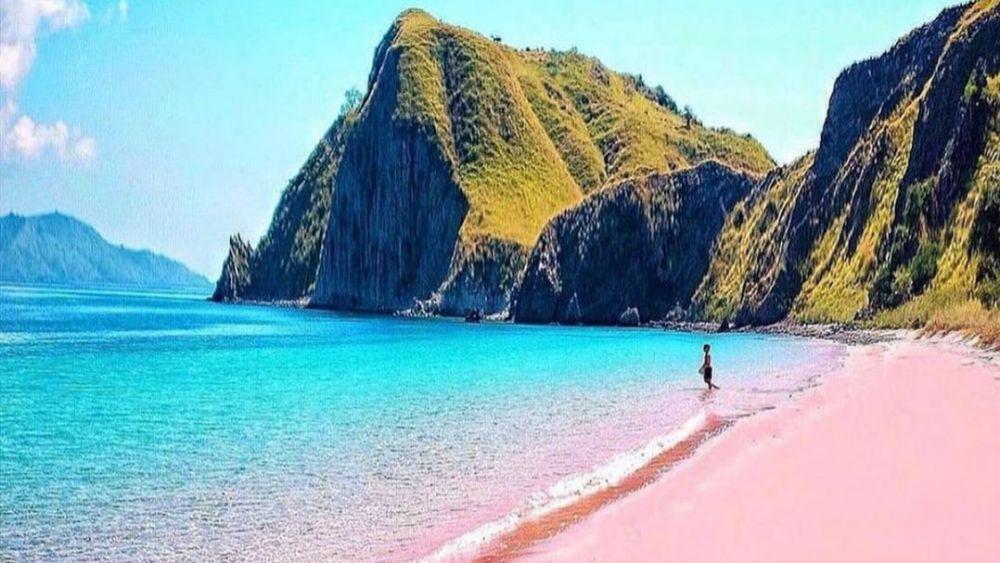 9 Pantai Pink Terindah di Dunia, Pesonanya Bikin Jatuh Hati