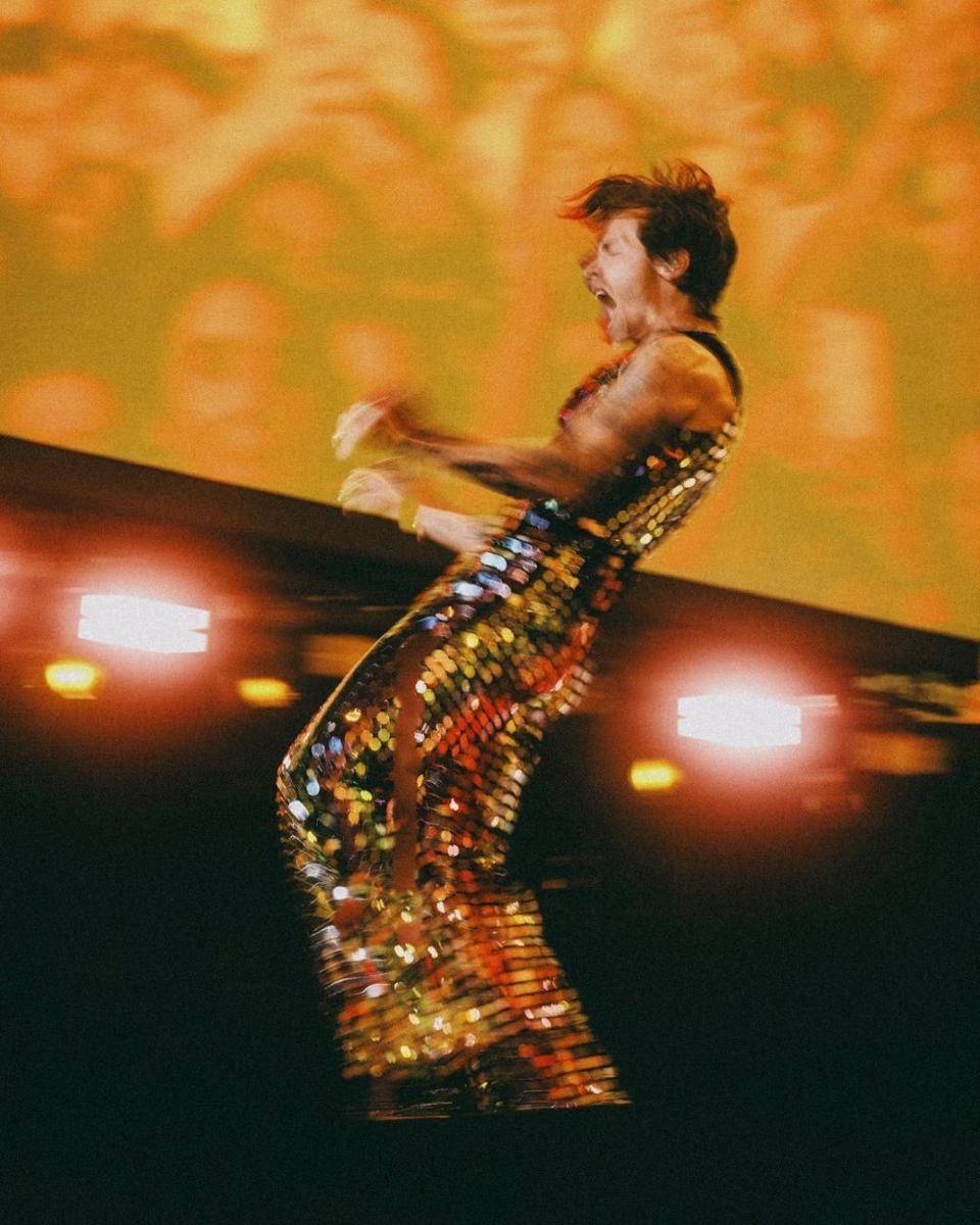 Harry Styles (instagram.com/anthonypham)