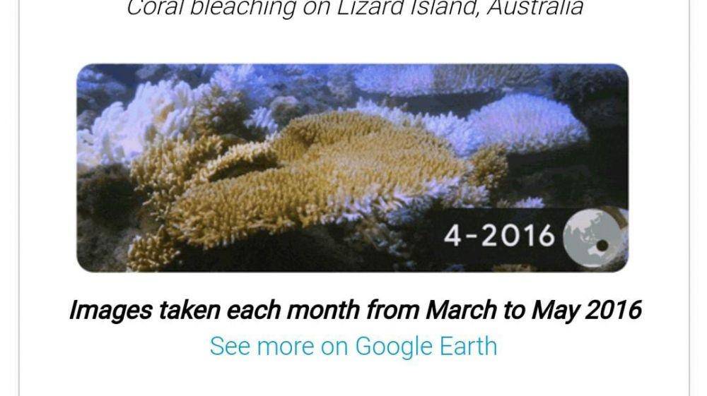 Lizard Island Australia/tangkapan google
