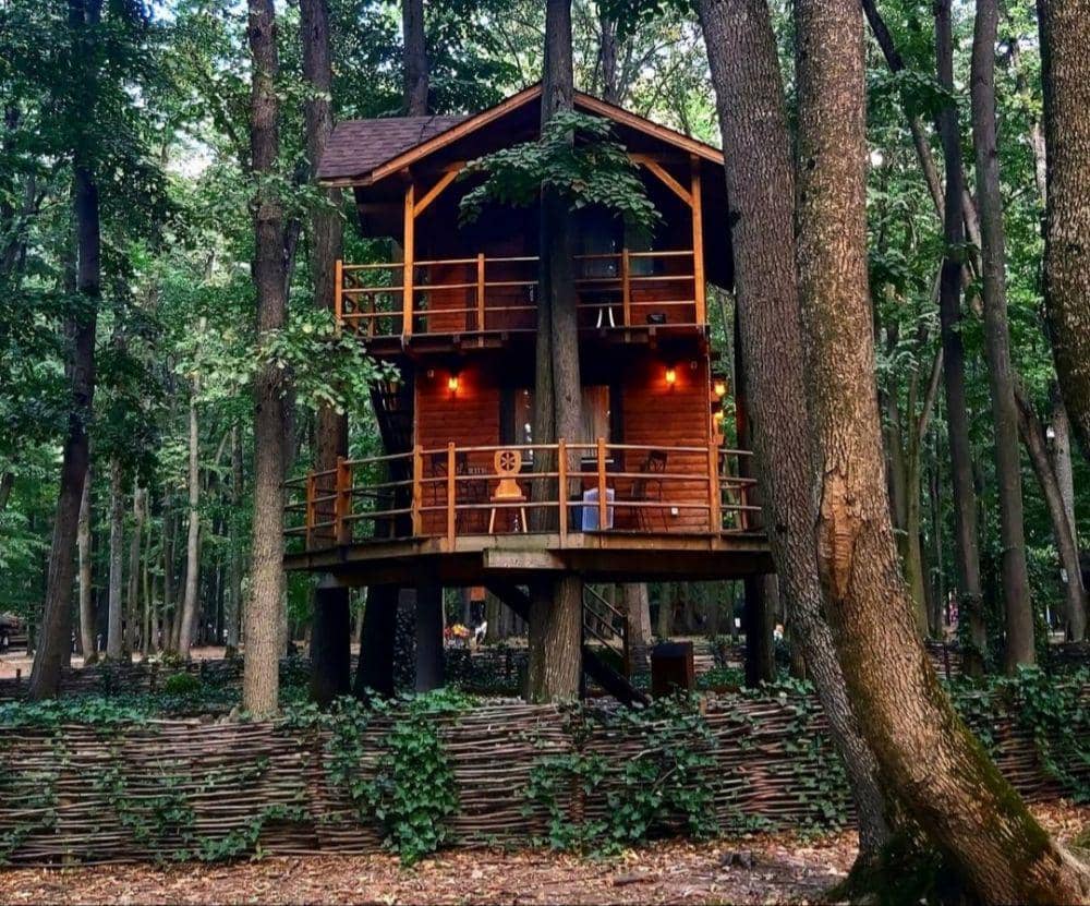 Temega Tree House (instagram.com/alinam.ivan)