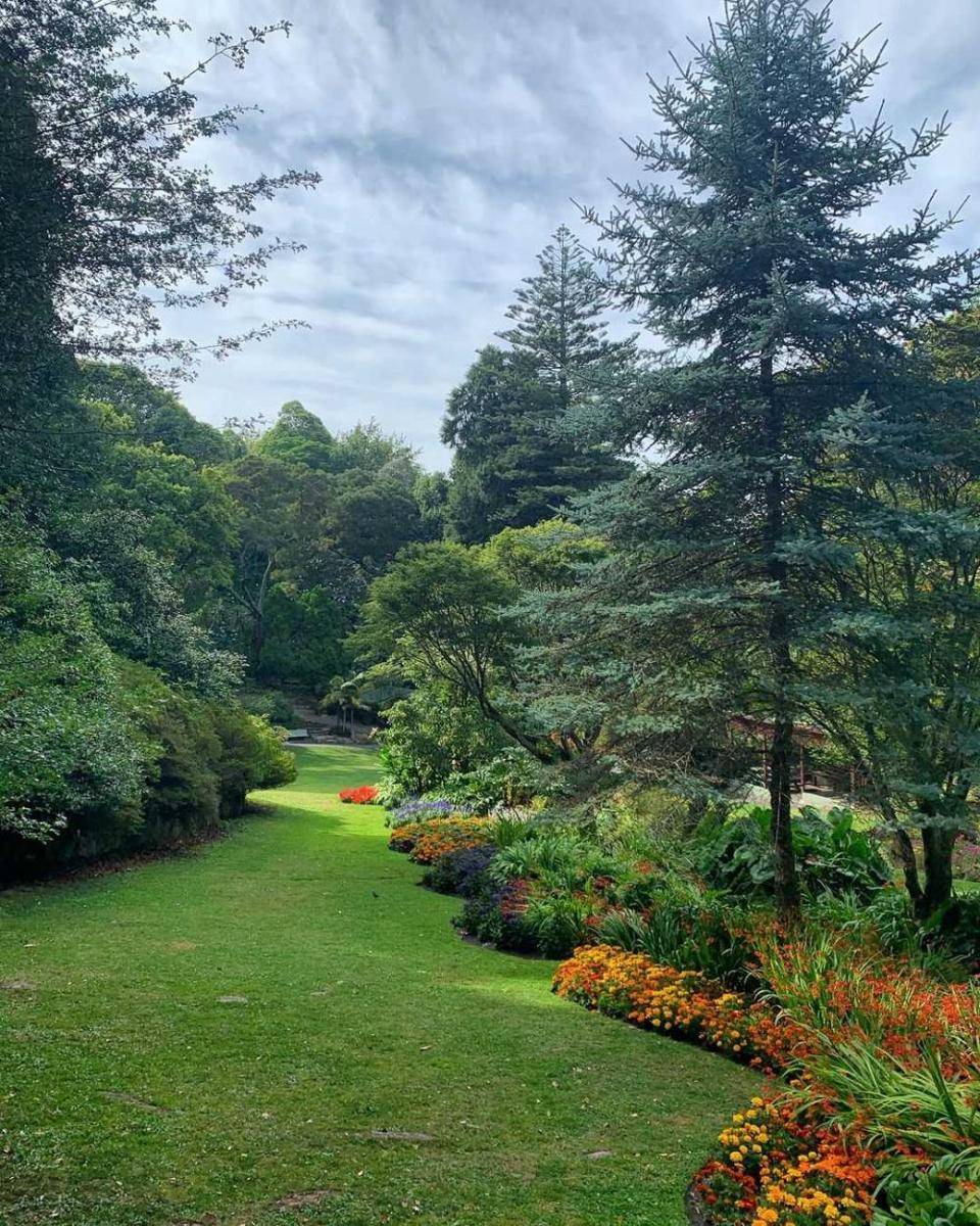 Napier Botanical Gardens (instagram.com/holymoly81)