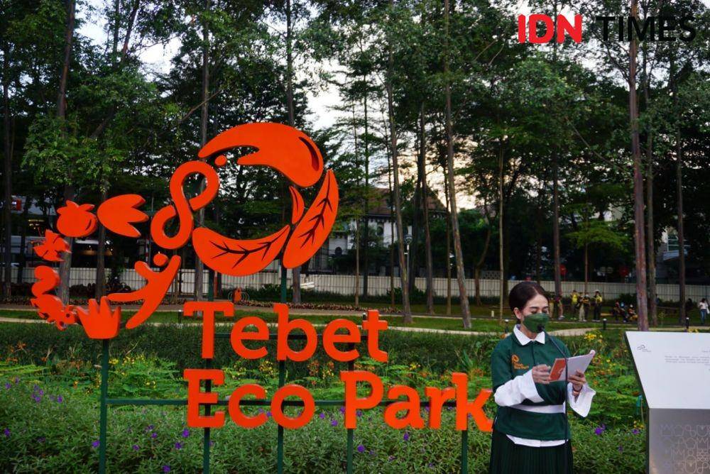 Kepala Dinas Pertamanan dan Hutan Kota, Suzi Marsitawati (IDN Times/Aryodamar)