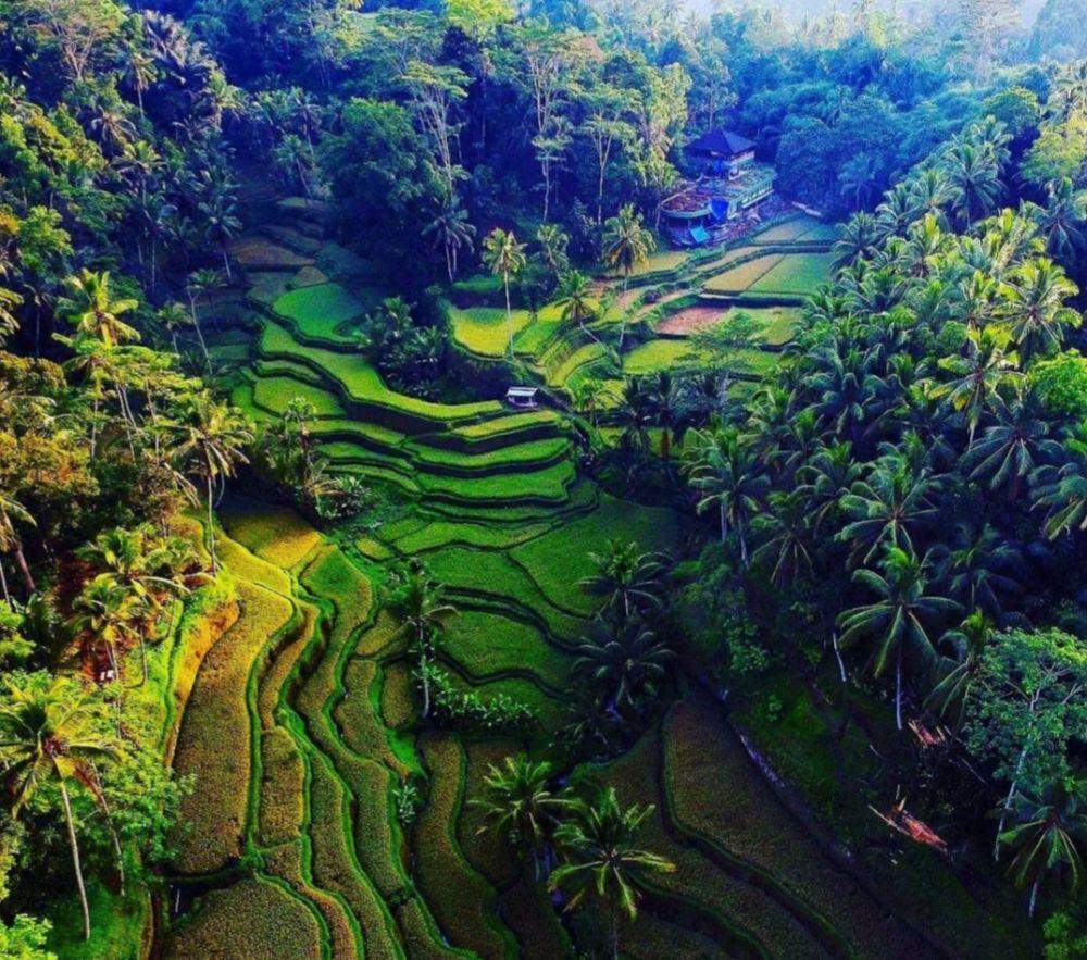 5 Desa di Bali yang Keindahannya Diakui Dunia, Bikin Ogah Pulang!
