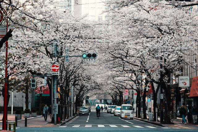 10 Fakta Menarik Tokyo, Kota Metropolitan Terpadat di Dunia