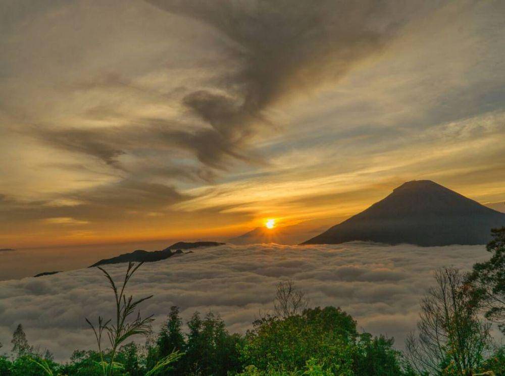 Potret puncak sikunir (instagram.com/Backpackerjakarta)