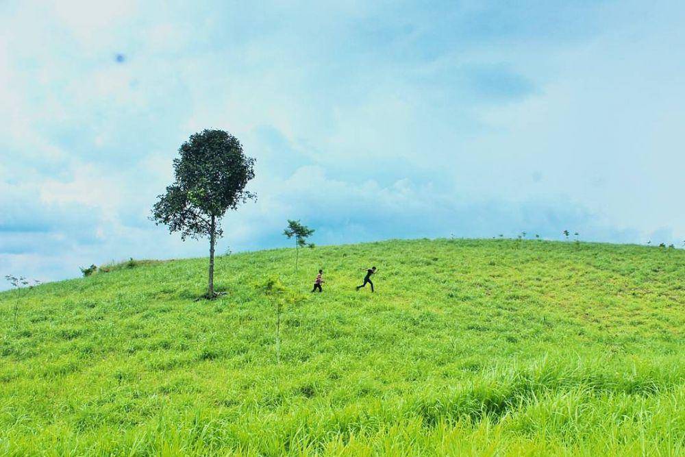 Bukit Karang Numpang (instagram.com/dimasfrh)