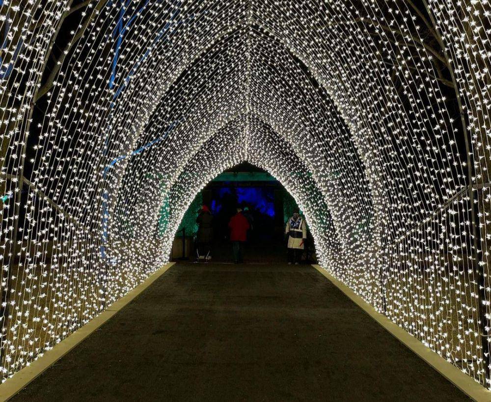 Chicago Botanic Garden (instagram.com/a_180505)