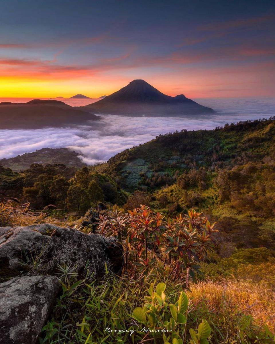 Potret puncak sikunir (instagram.com/Rooney_Atmoko)