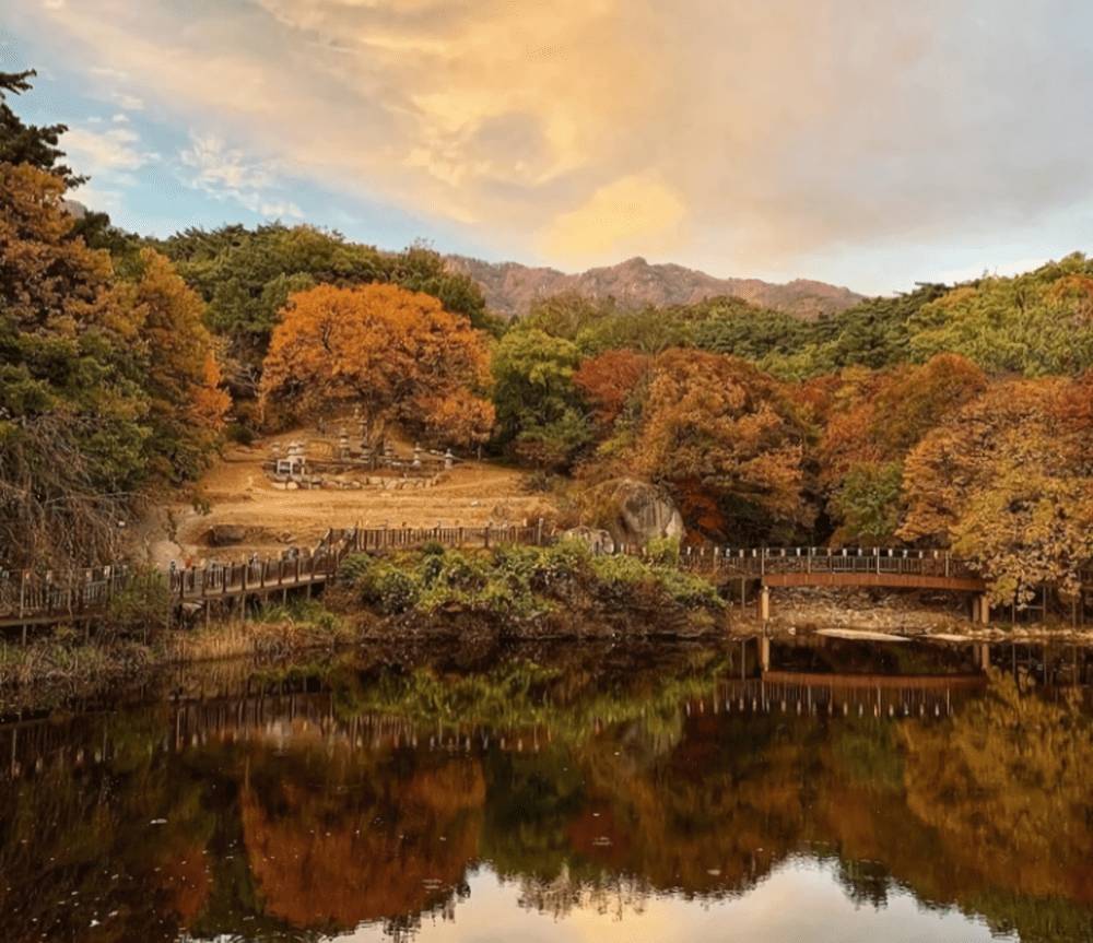 Palgong Mountain (instagram.com/bhappy__sj)