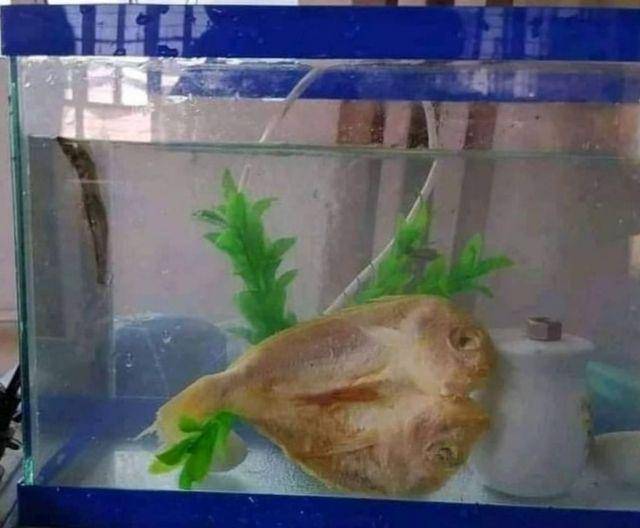 cara kocak amankan barang (instagram.com/humorsantuy)