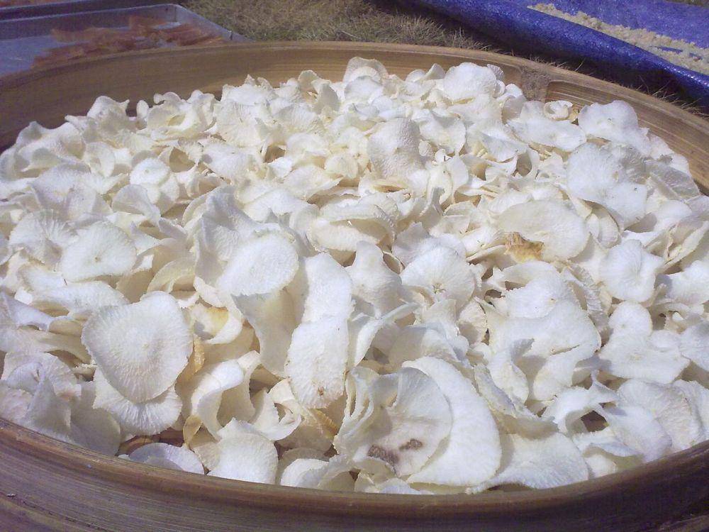 Potret kripik singkong rasa gadung (dok.anekakripikmalang)