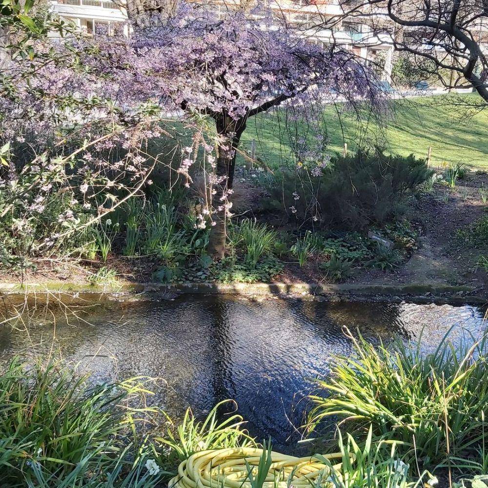Parc Montsouris (instagram.com/elodie_erdmann)