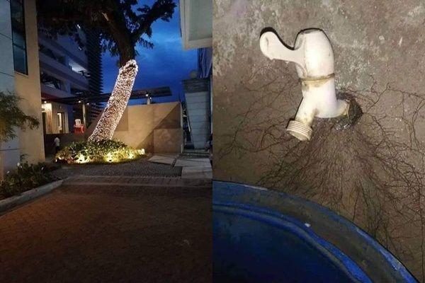 10 Potret Ilusi Optik Ini Dijamin Bikin Kamu Mikir yang Ena-ena