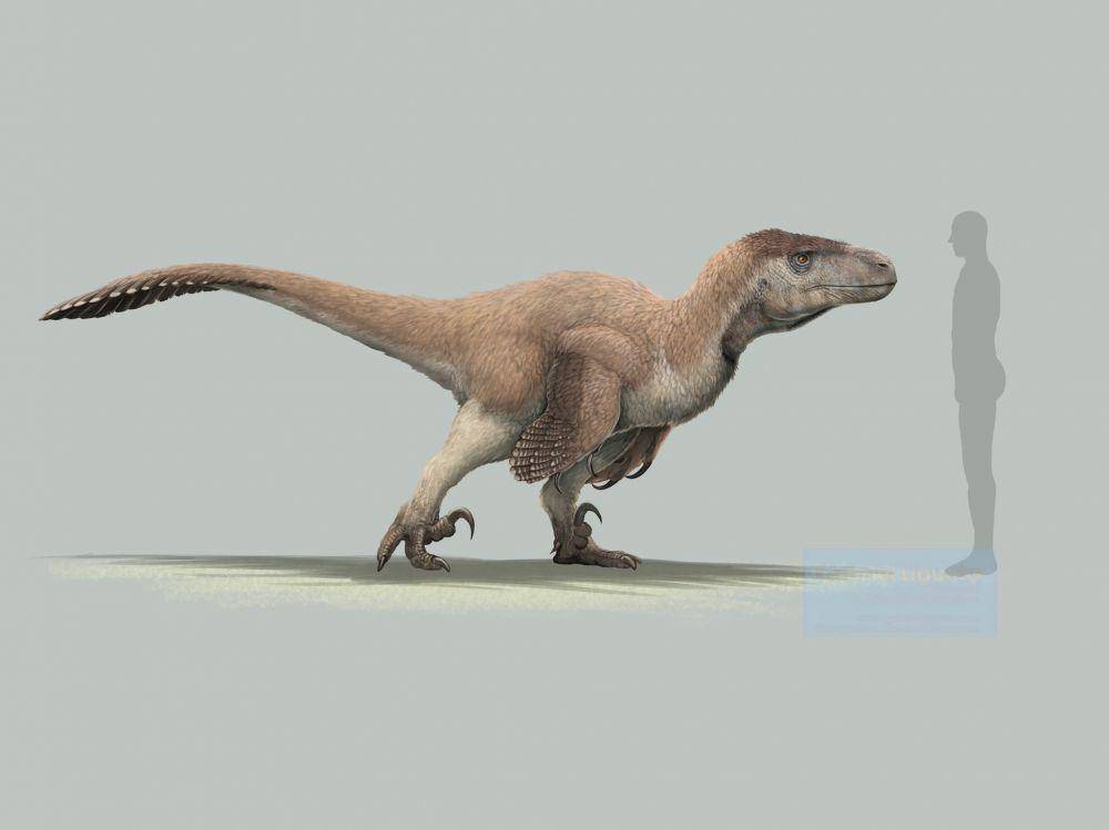 utahraptor (twitter.com/Nozzivix)