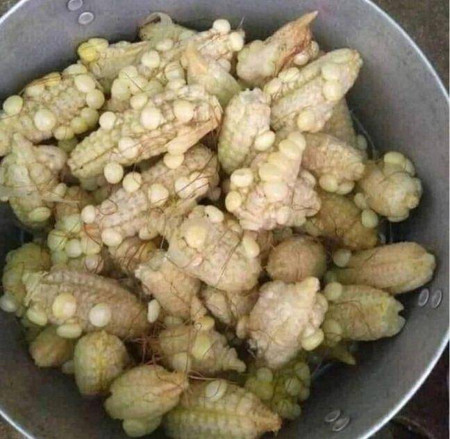 bentuk aneh bahan masak (instagram.com/wkwklandreal)