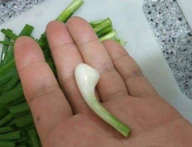 bentuk aneh bahan masak (instagram.com/wkwklandreal)