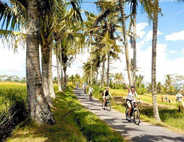 Bersepeda di sisi sawah Ubud. (instagram.com/ ebikesbali)