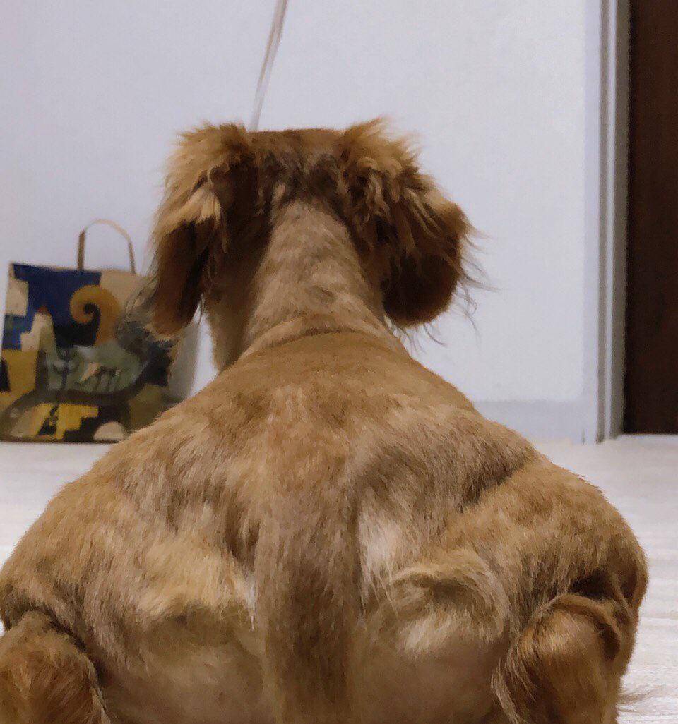 potret foto yang membingungkan (reddit.com/user/phenomenal11)