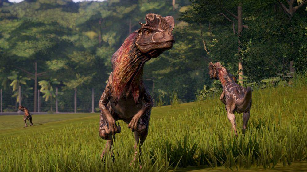 Dilophosaurus (twitter.com/ChrisLikesDinos)