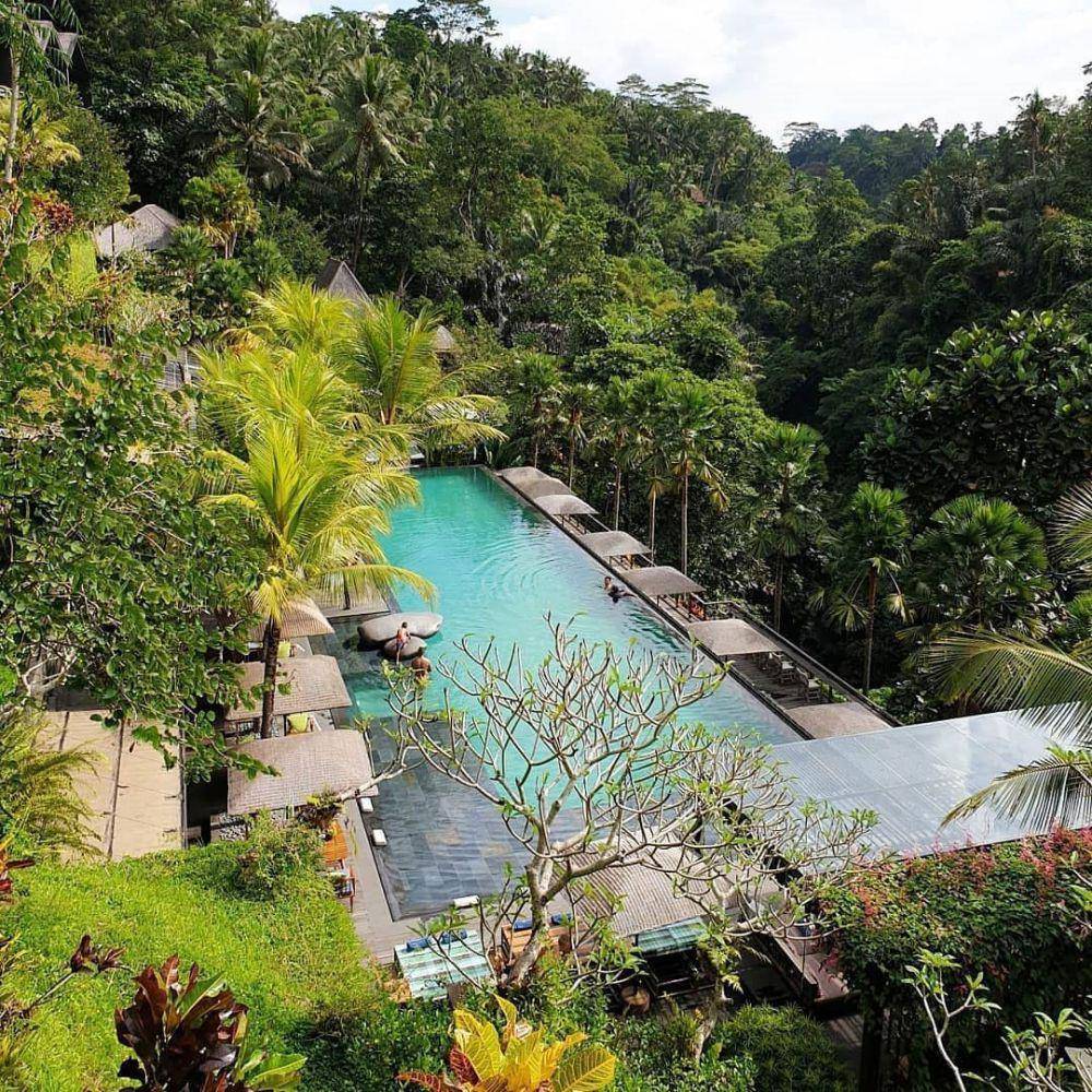 Jungle Fish Pool and Bar (instagram.com/junglefishbali)