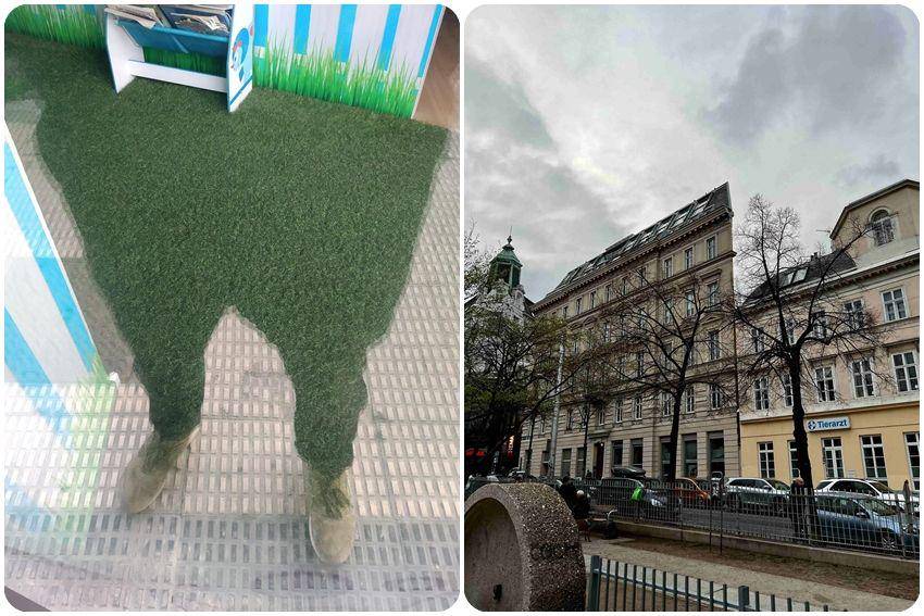 kolase potret foto yang membingungkan (reddit.com/user/Flimsy_Researcher | reddit.com/user/Mode_Reversion)