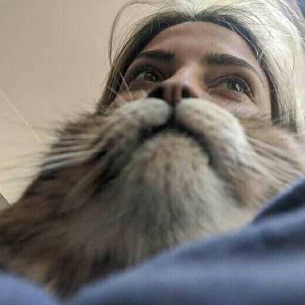 kejadian gak disengaja (izismile.com)