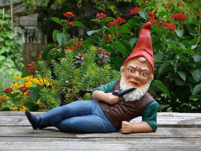 Garden gnome (commons.wikimedia.org/Colibri1968)