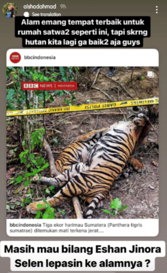Komentar Alshad soal 3 harimau yang mati dijerat (instagram.com/alshadahmad)