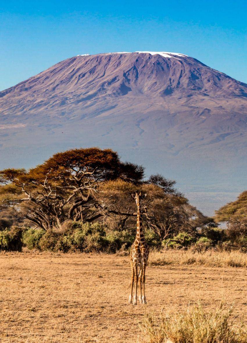 Taman Nasional Gunung Kilimanjaro (unsplash.com/steve4c)