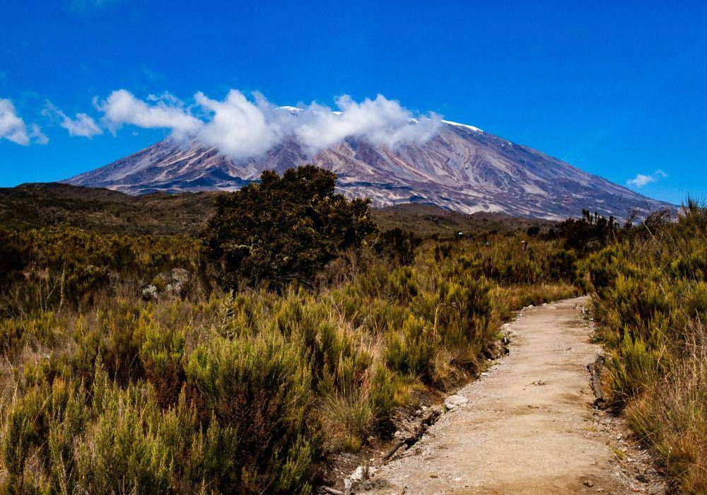 Gunung Kilimanjaro, Tanzania (unsplash.com/cavespider)