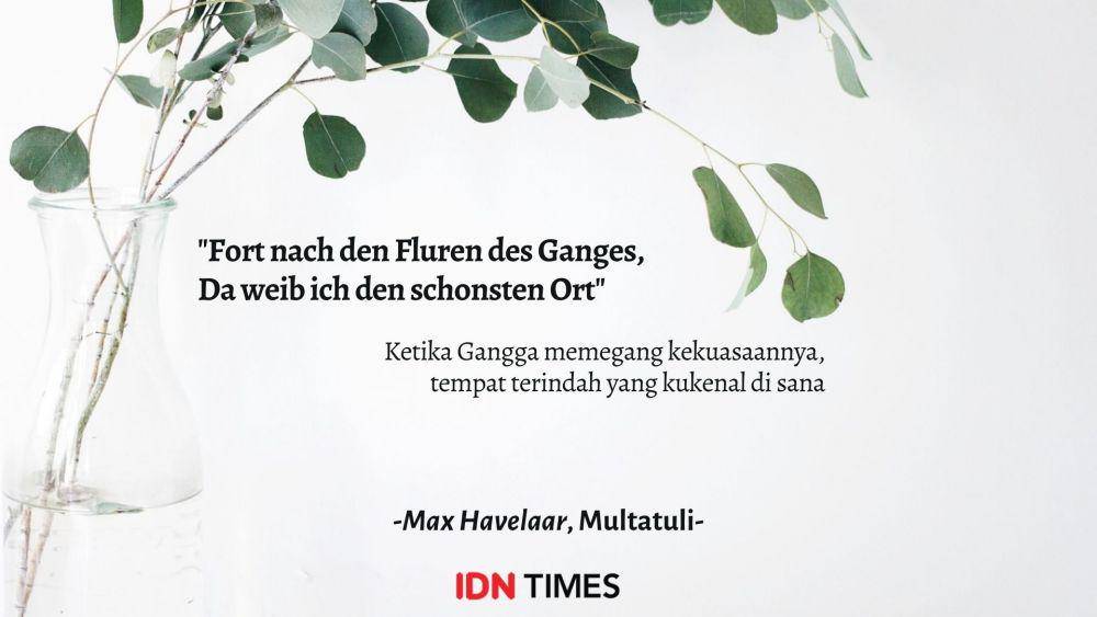 ilustrasi tanaman dalam vas (unsplash.com/jazminantoinette)