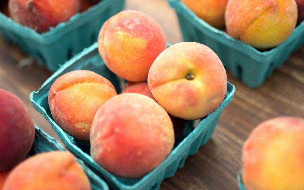 ilustrasi buah peach (medicalnewstoday.com)