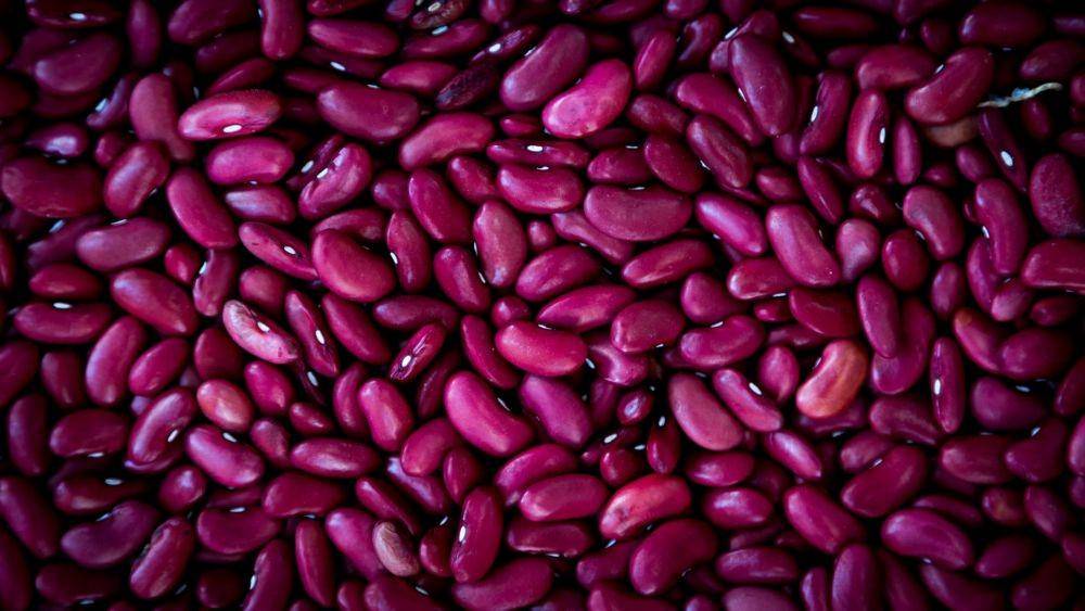 ilustrasi kacang merah (unsplash.com/Volodymyr Hryshchenko)