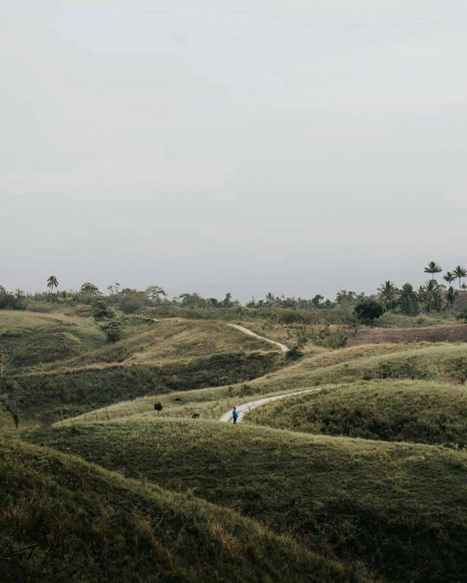 potret Bukit Teletubbies di Luwuk (instagram.com/like_luwuk)